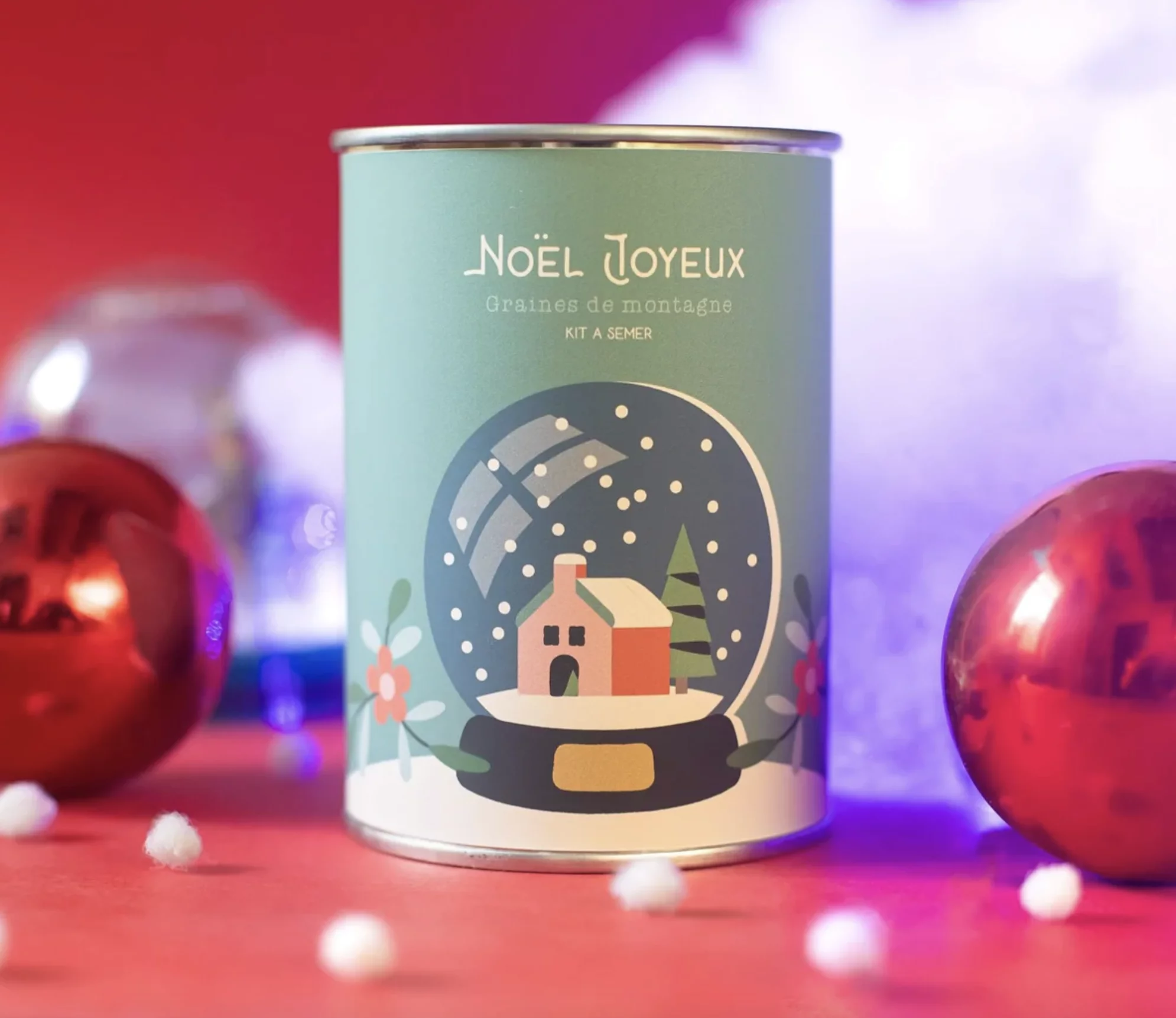 Kit à semer "Noël Joyeux (boule à neige)"