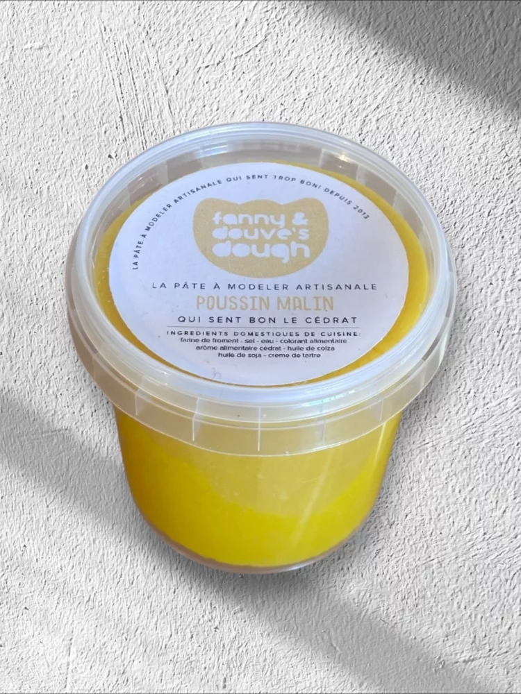 Pâte à modeler – Poussin malin